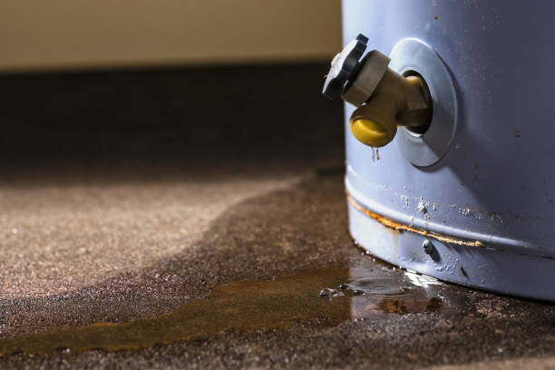 Best Water damage contractors near me  in Fremont, NE