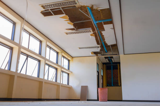 Best Water damage restoration services  in Fremont, NE