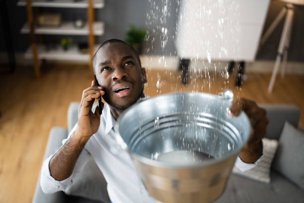 Best Flood damage cleanup  in Fremont, NE