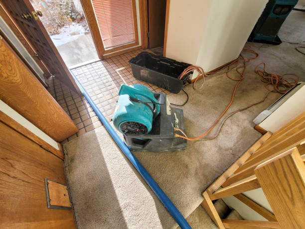 Best Local water damage restoration  in Fremont, NE