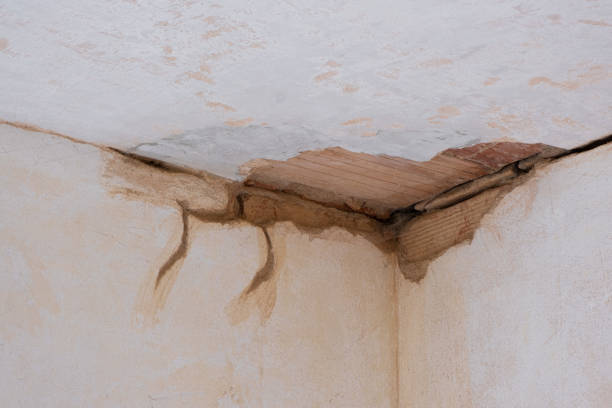 Best Emergency water damage restoration  in Fremont, NE
