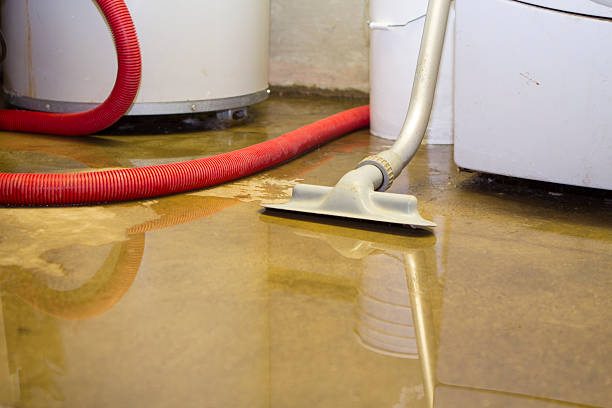 Best Ceiling water damage repair  in Fremont, NE