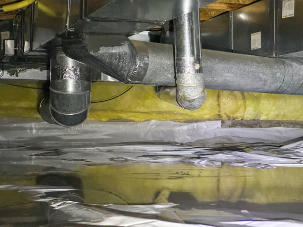 Best Flood restoration services  in Fremont, NE