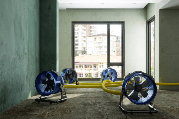 Best Basement water damage restoration  in Fremont, NE